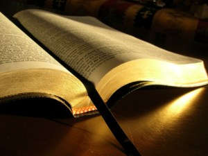bibbia42.jpg?w=300