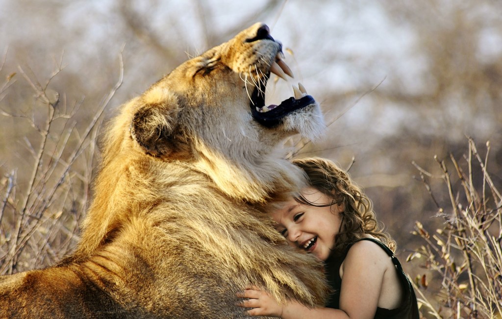 lion-3012515_1920.jpg?w=1024